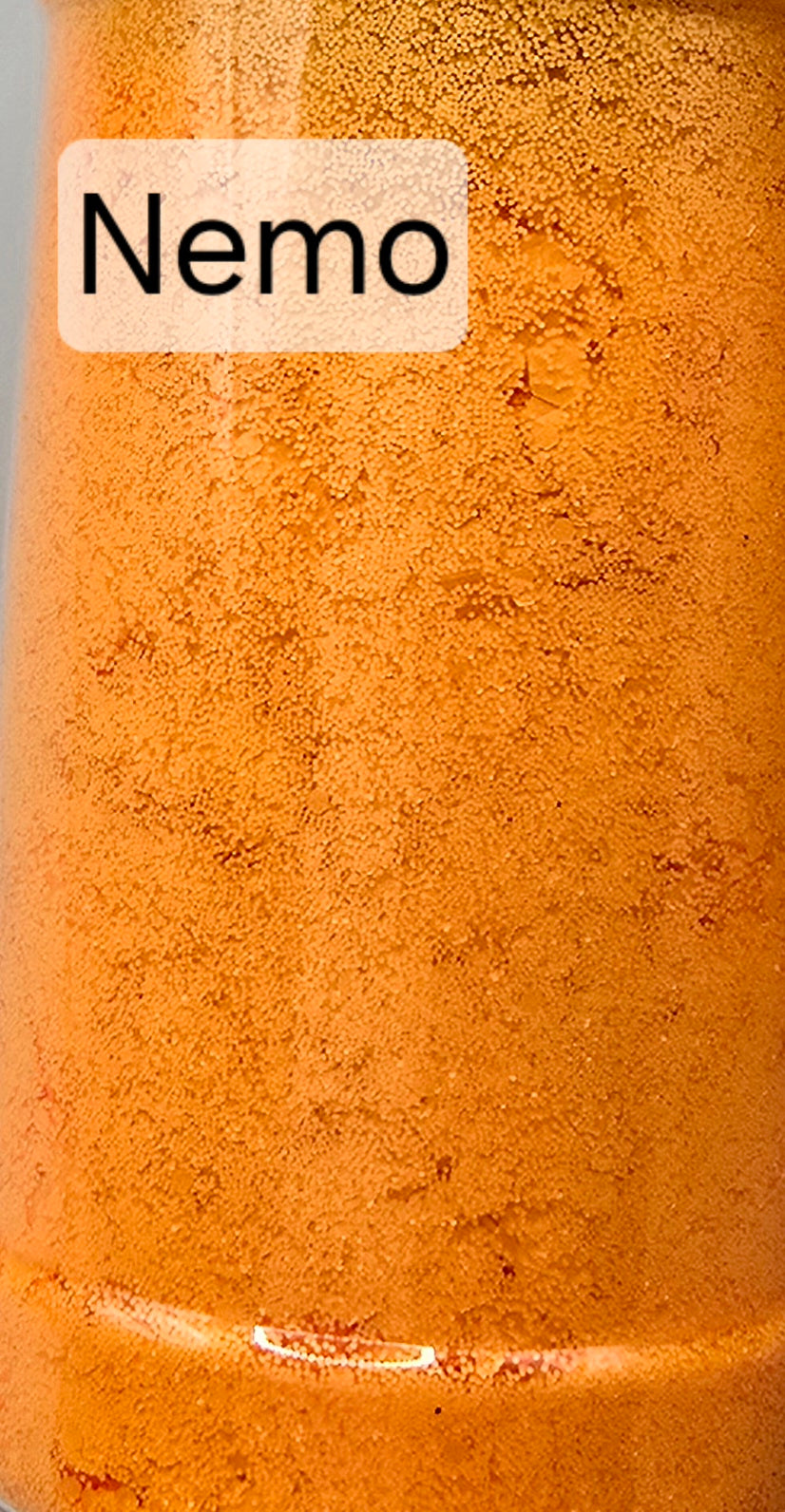 Nemo Glitter