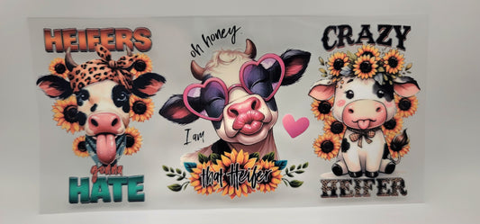 Heifers got attitude